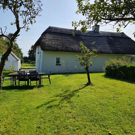 Large Thatched *